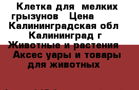 Клетка для  мелких грызунов › Цена ­ 300 - Калининградская обл., Калининград г. Животные и растения » Аксесcуары и товары для животных   
